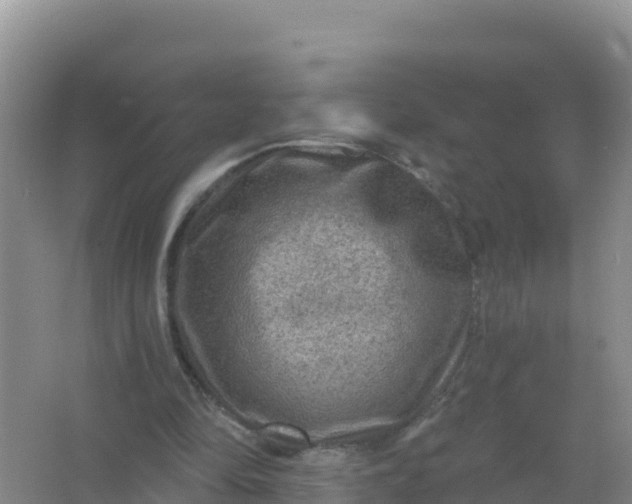 X0000066950294200604071945