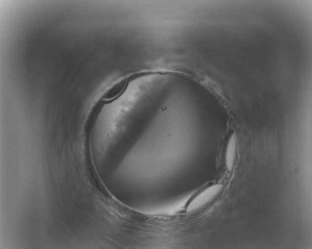 X0000066950295200604071945