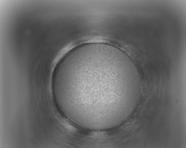 X0000066950296200604071945