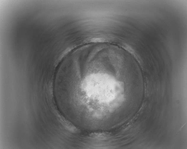 X0000066950297200604071945