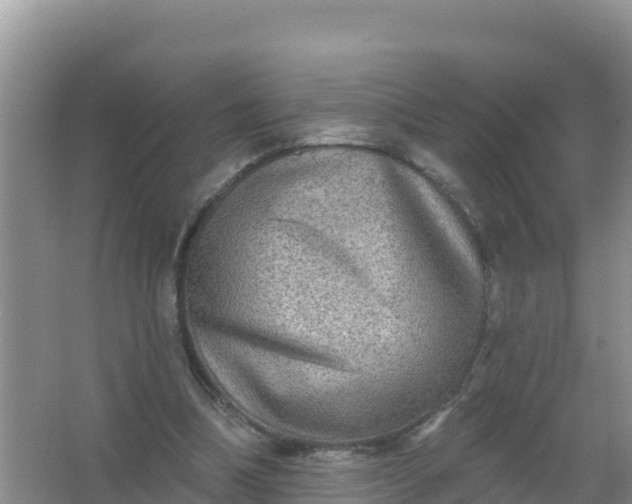 X0000066950298200604071945