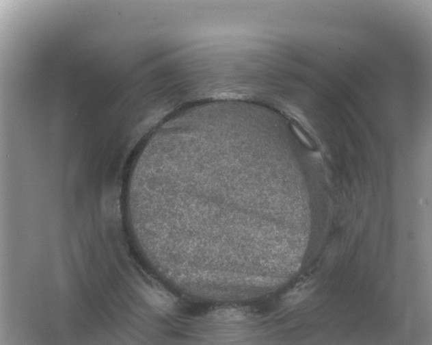 X0000066950299200604071945