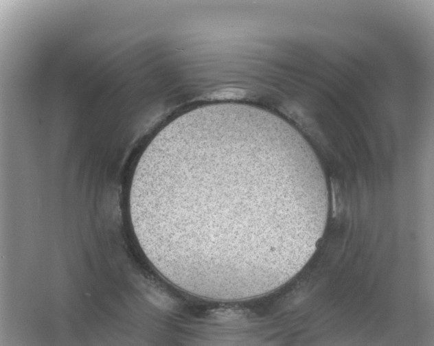 X0000066950300200604071945