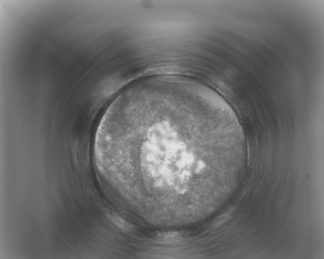 X0000066950301200604071945