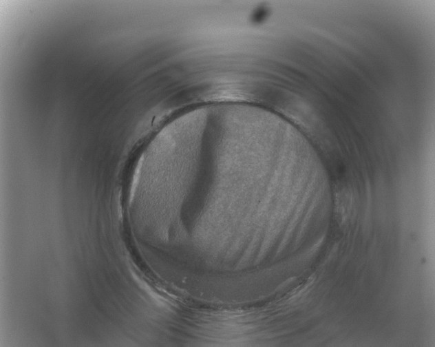 X0000066950302200604071945