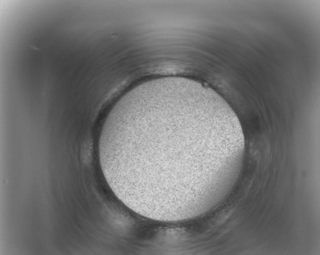 X0000066950304200604071945