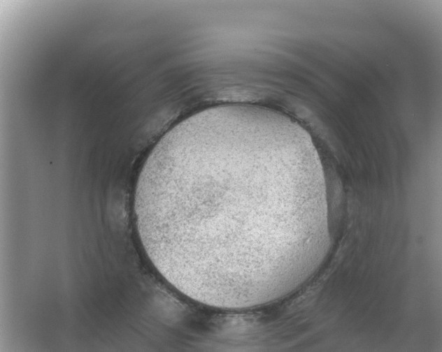 X0000066950305200604071945