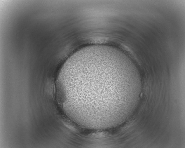 X0000066950307200604071945