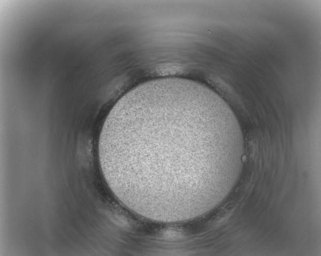 X0000066950308200604071945