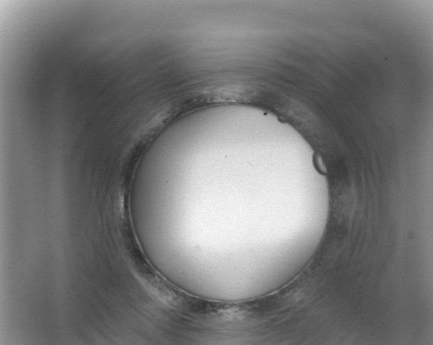 X0000066950310200604071945