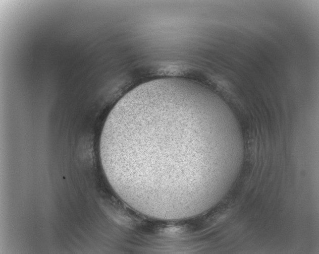 X0000066950312200604071945