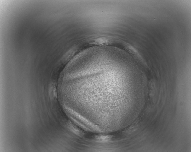 X0000066950313200604071945