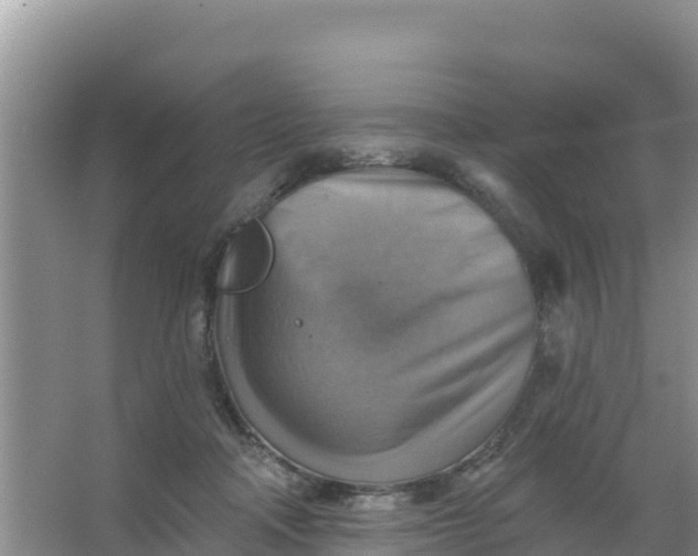 X0000066950314200604071945