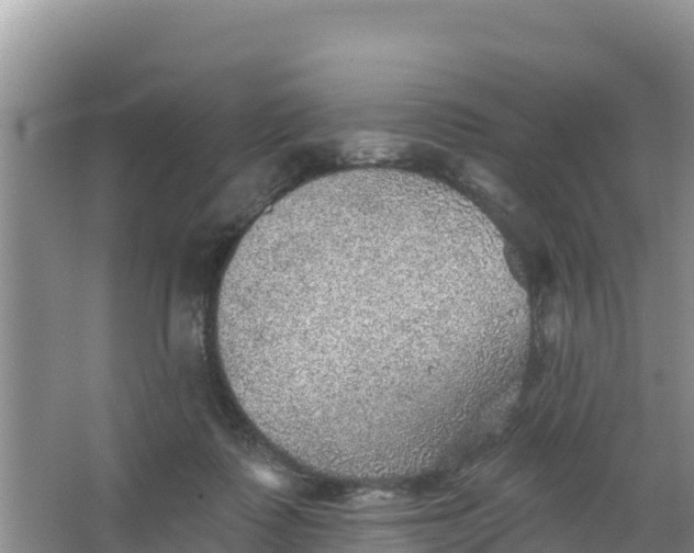 X0000066950315200604071945