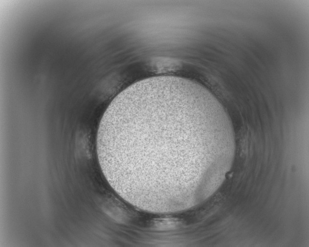 X0000066950316200604071945