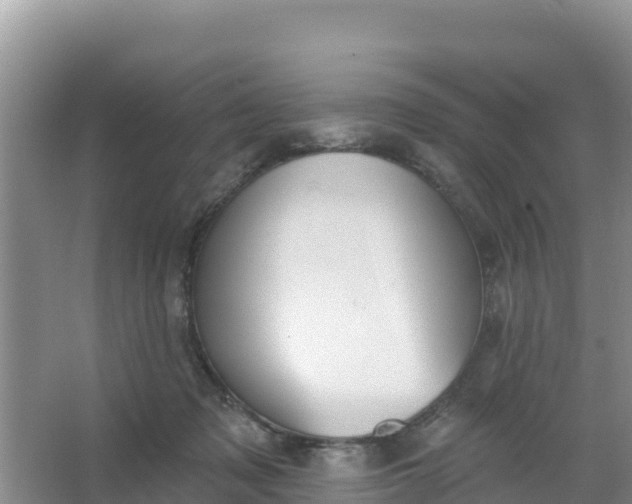 X0000066950317200604071945