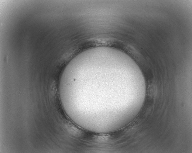 X0000066950318200604071945