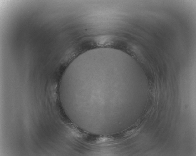 X0000066950319200604071945