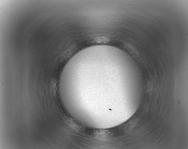 X0000066950321200604071945