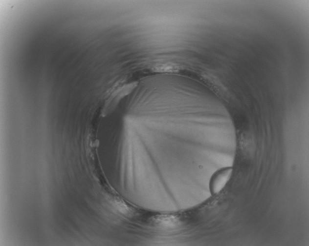 X0000066950322200604071945