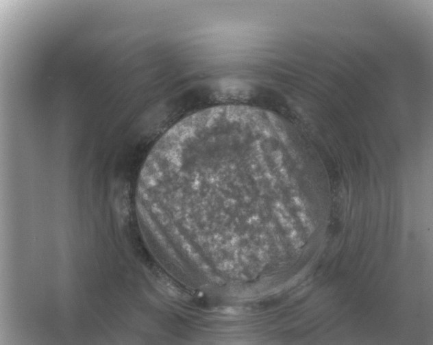 X0000066950323200604071945