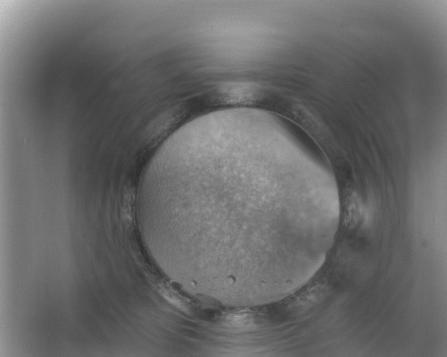 X0000066950325200604071945