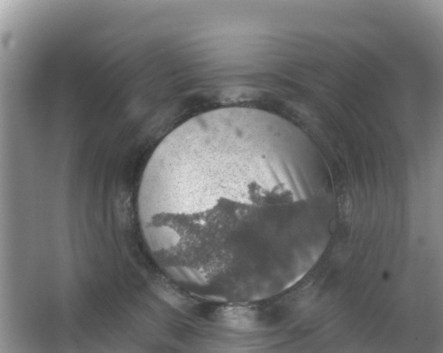 X0000066950327200604071945