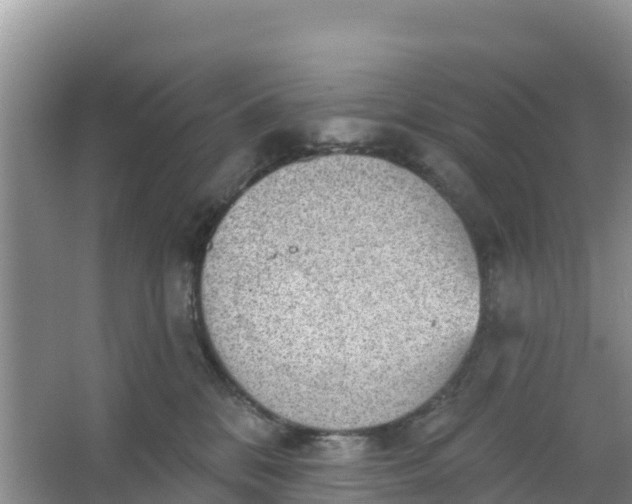 X0000066950328200604071945