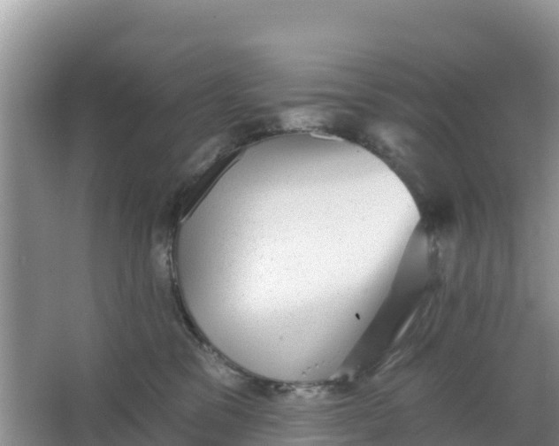 X0000066950329200604071945