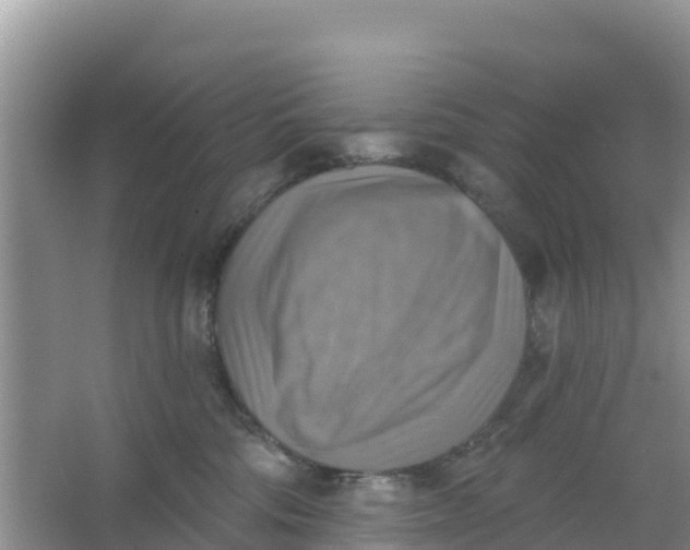 X0000066950330200604071945