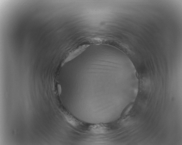 X0000066950331200604071945