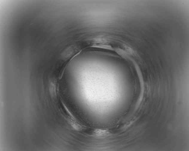 X0000066950333200604071945