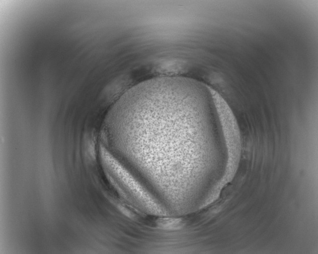 X0000066950334200604071945