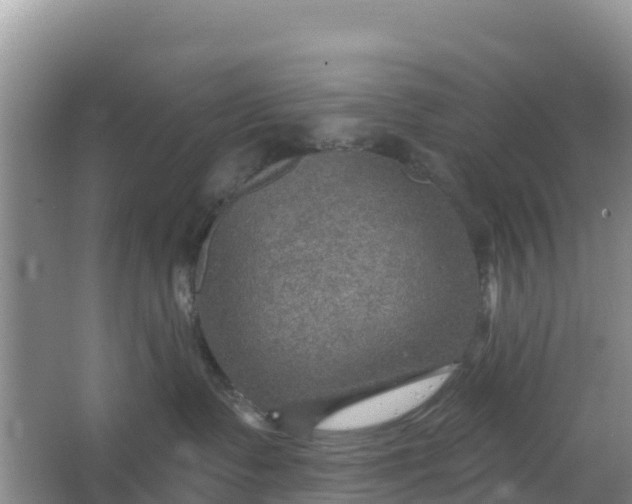 X0000066950335200604071945