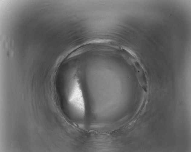 X0000066950337200604071944