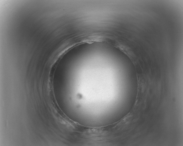 X0000066950338200604071944