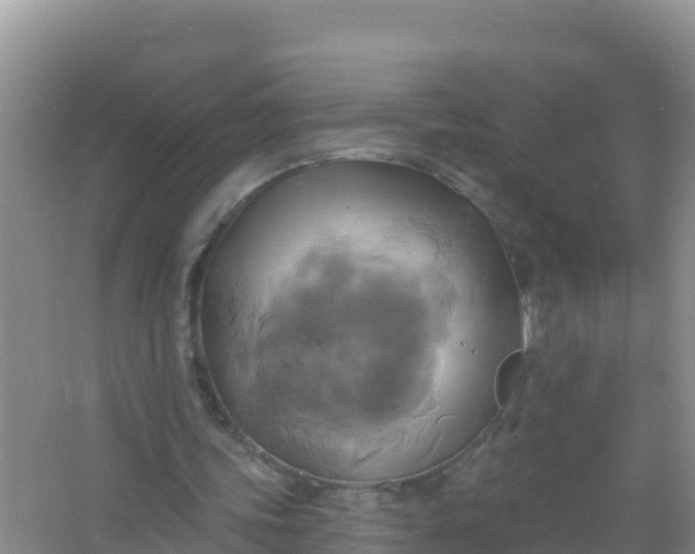 X0000066950339200604071944