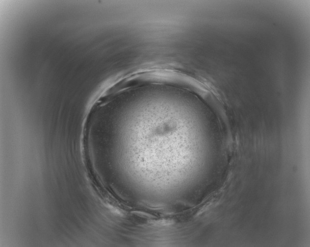 X0000066950340200604071944