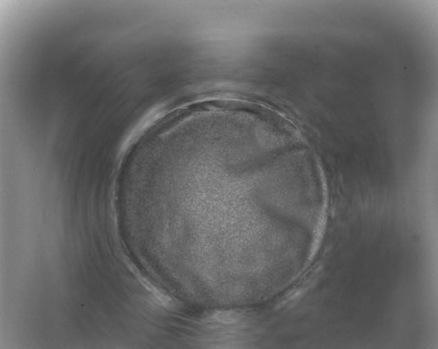 X0000066950341200604071944