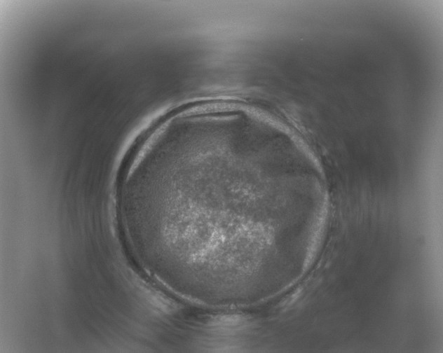 X0000066950342200604071944