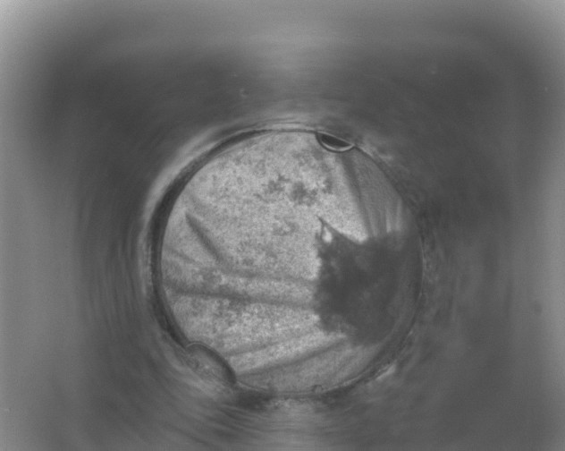 X0000066950343200604071944