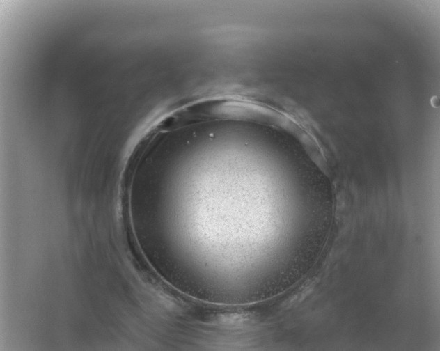 X0000066950344200604071944