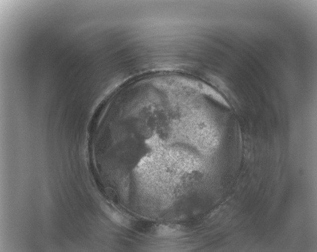 X0000066950346200604071944