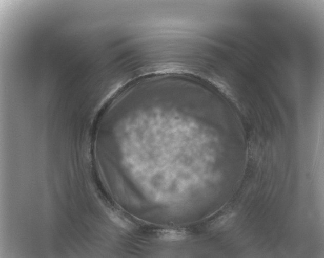 X0000066950347200604071944