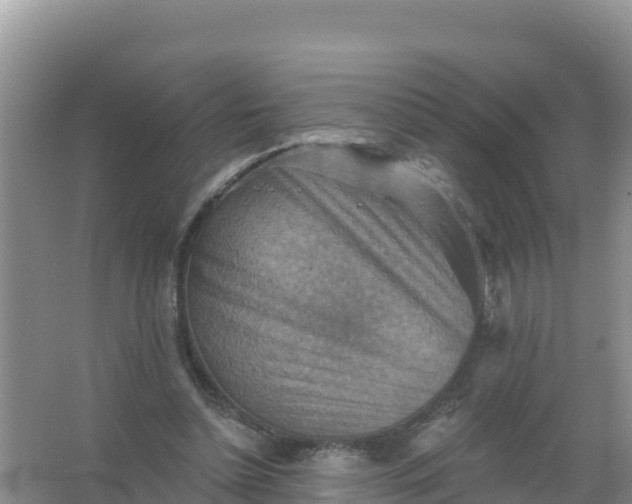 X0000066950348200604071944