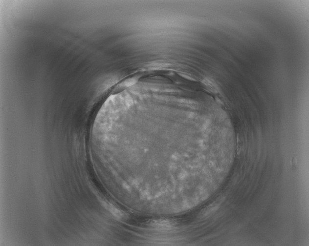 X0000066950349200604071944