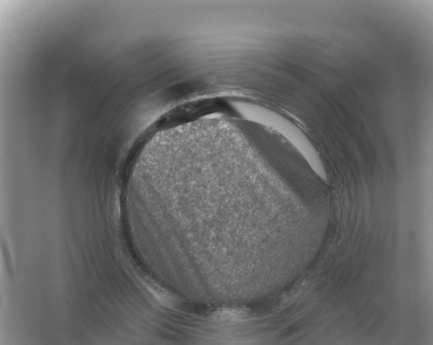 X0000066950350200604071944