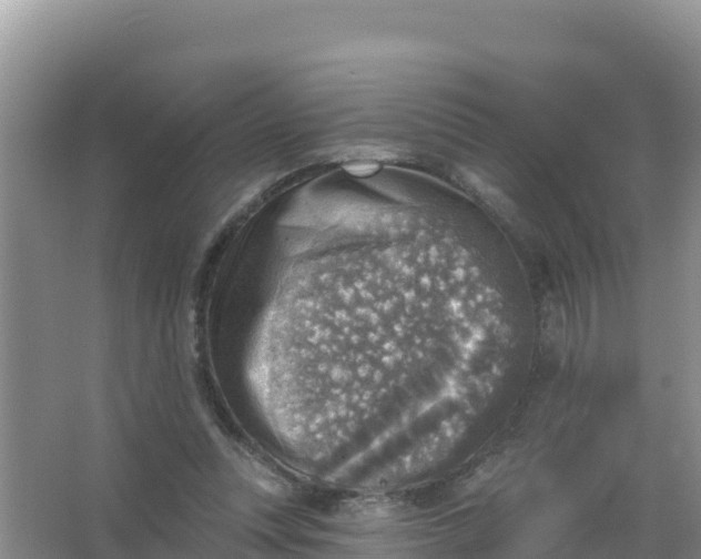 X0000066950351200604071944