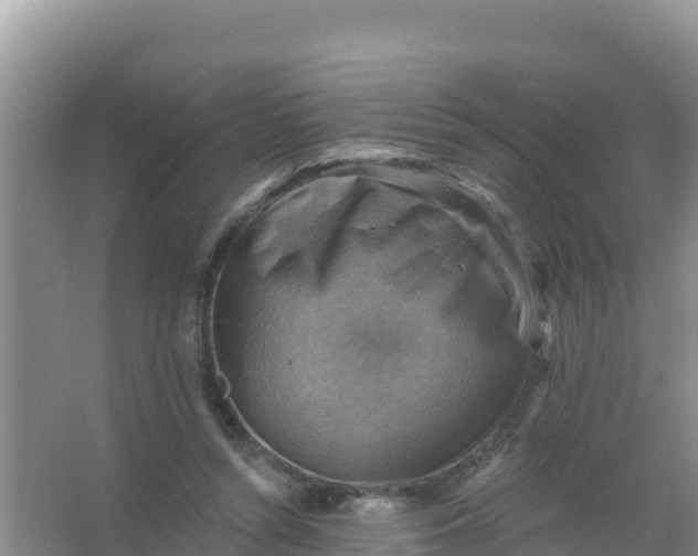 X0000066950352200604071944