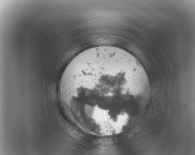 X0000066950353200604071944